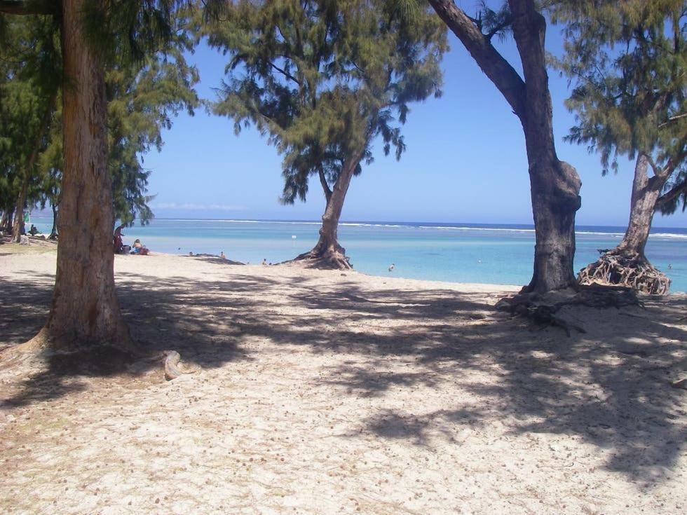 Le Saint Geran - A 3Mn A Pied De La Plage Et De Tous Commerces Ла-Салин-ле-Бен Экстерьер фото